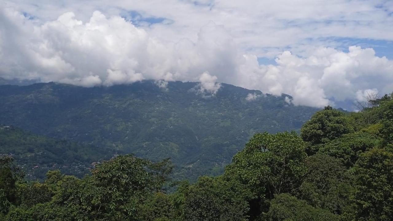 Singtom Tea Resort Darjeeling  Luaran gambar